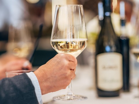 a hand holding a glass of wine