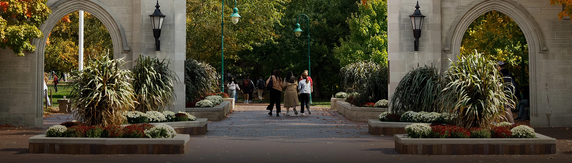 a group of people walking down a path