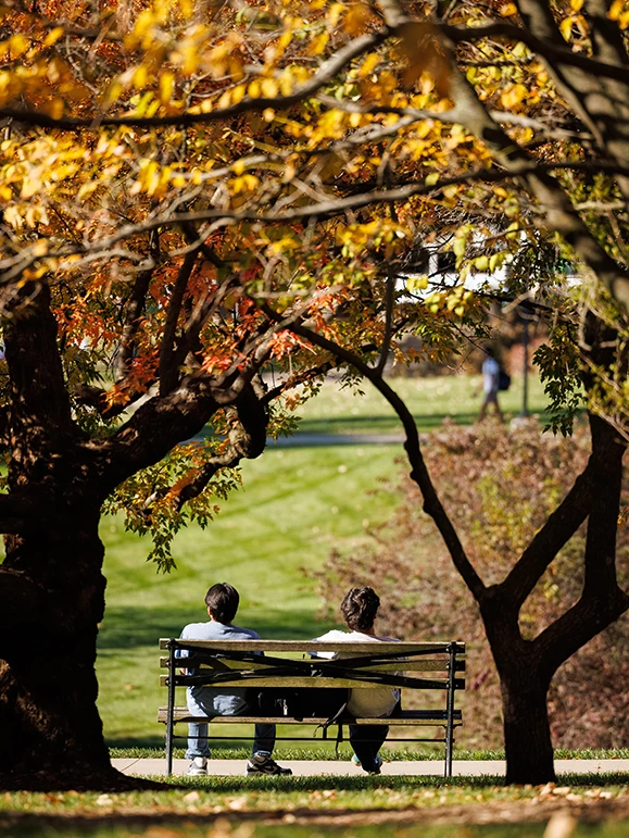 a man and woman sitting on a bench under a tree