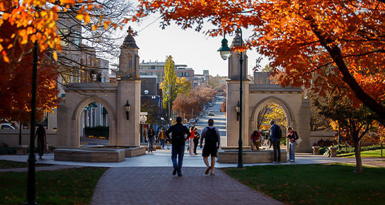 people walking on a path with people walking on the sidewalk