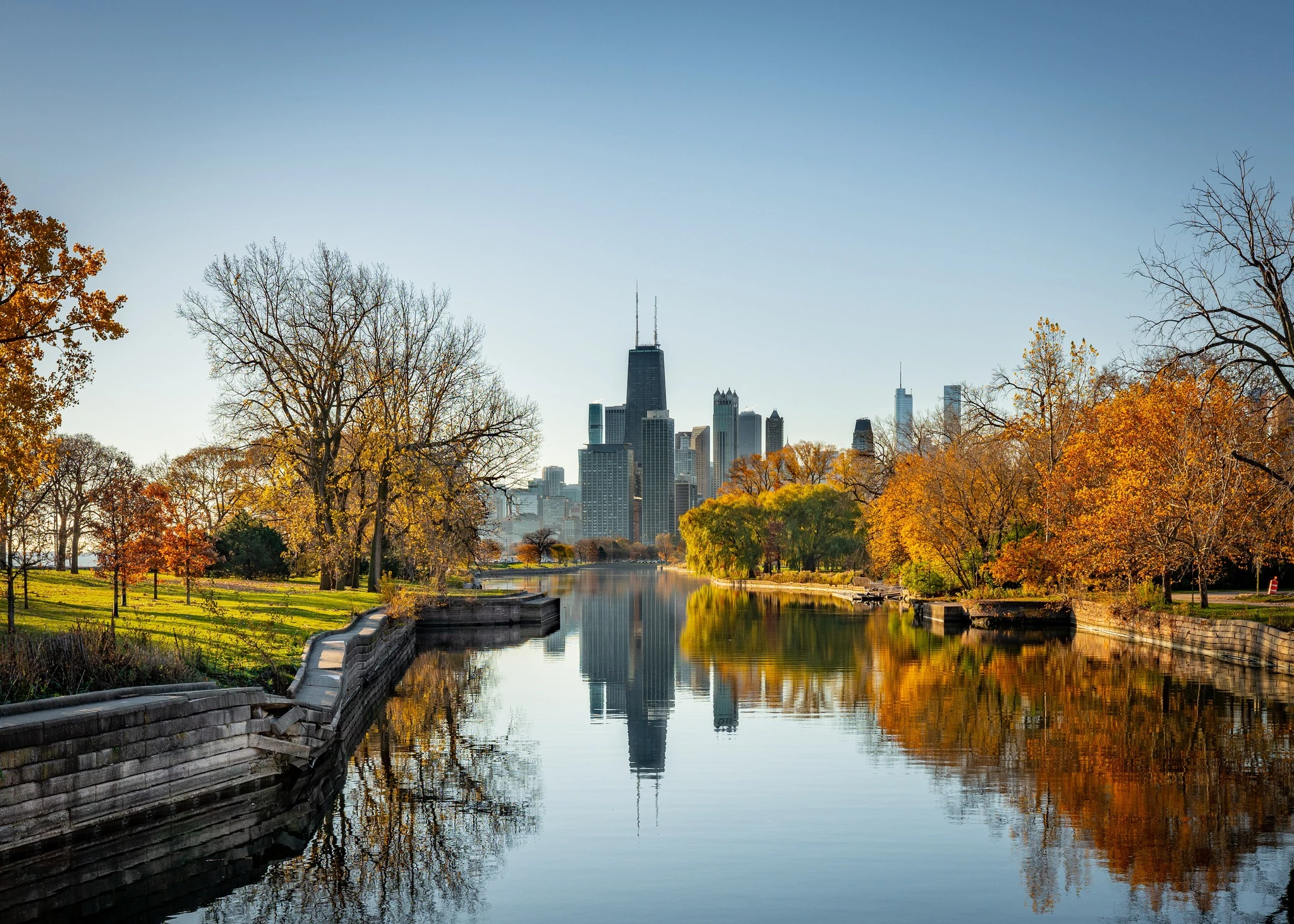 a river with trees and a city in the background