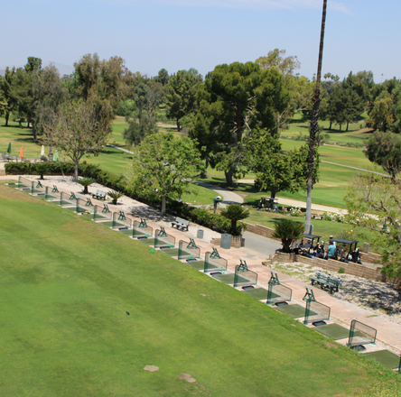 a golf course with many golf clubs and trees