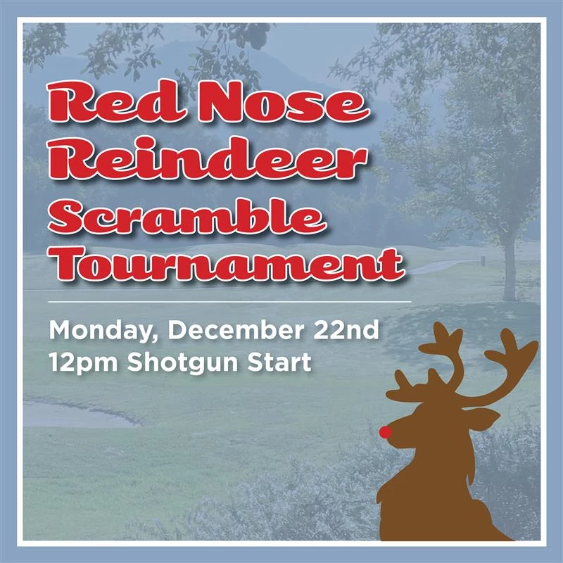 a poster with a deer and trees