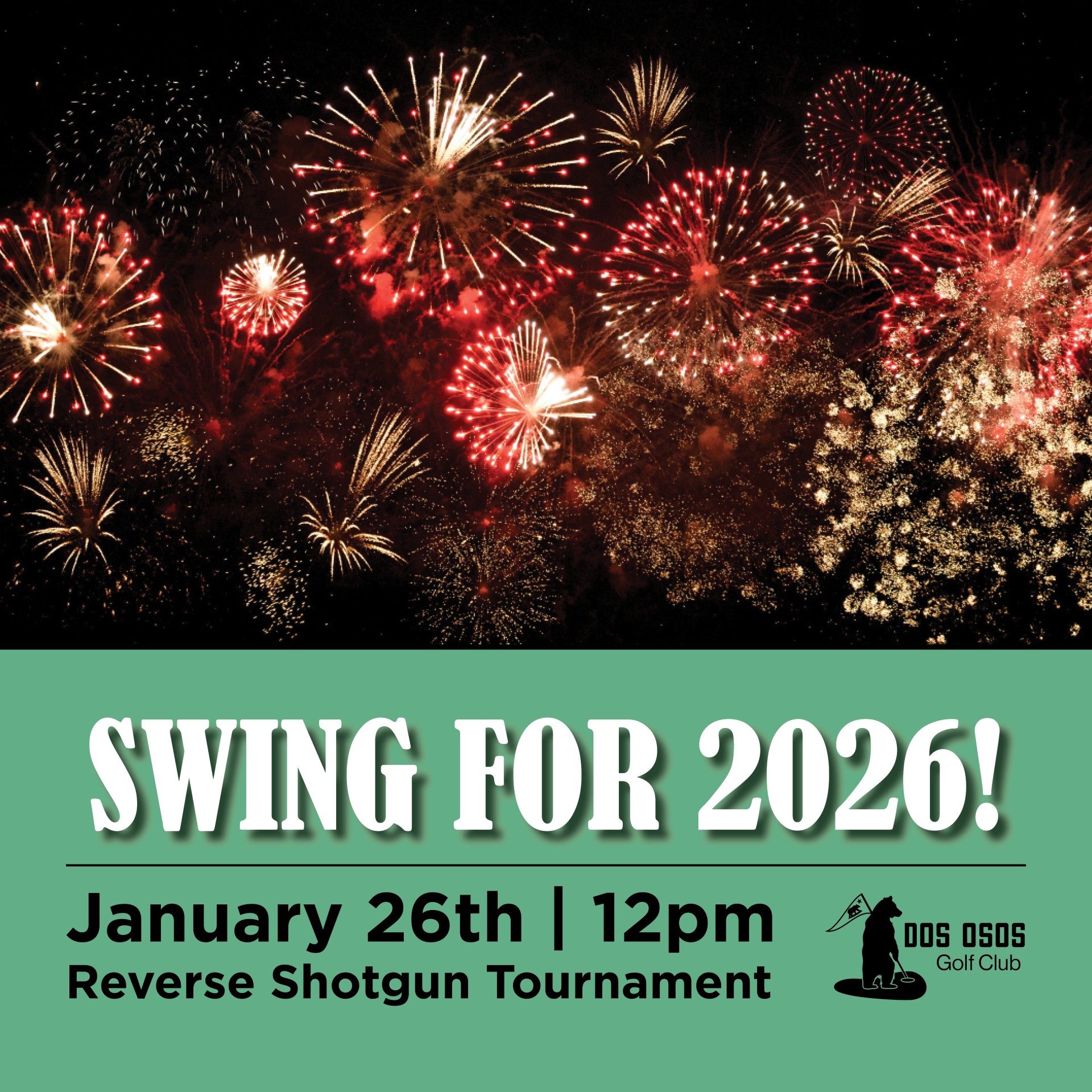 a fireworks display in the sky