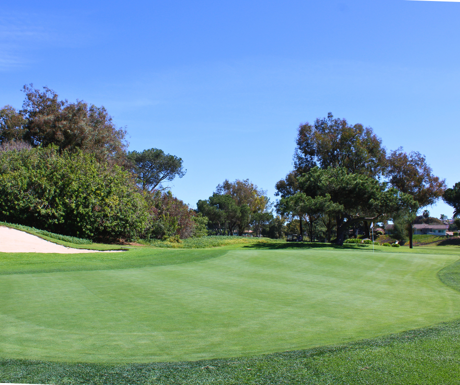a golf course with trees and a blue sky
