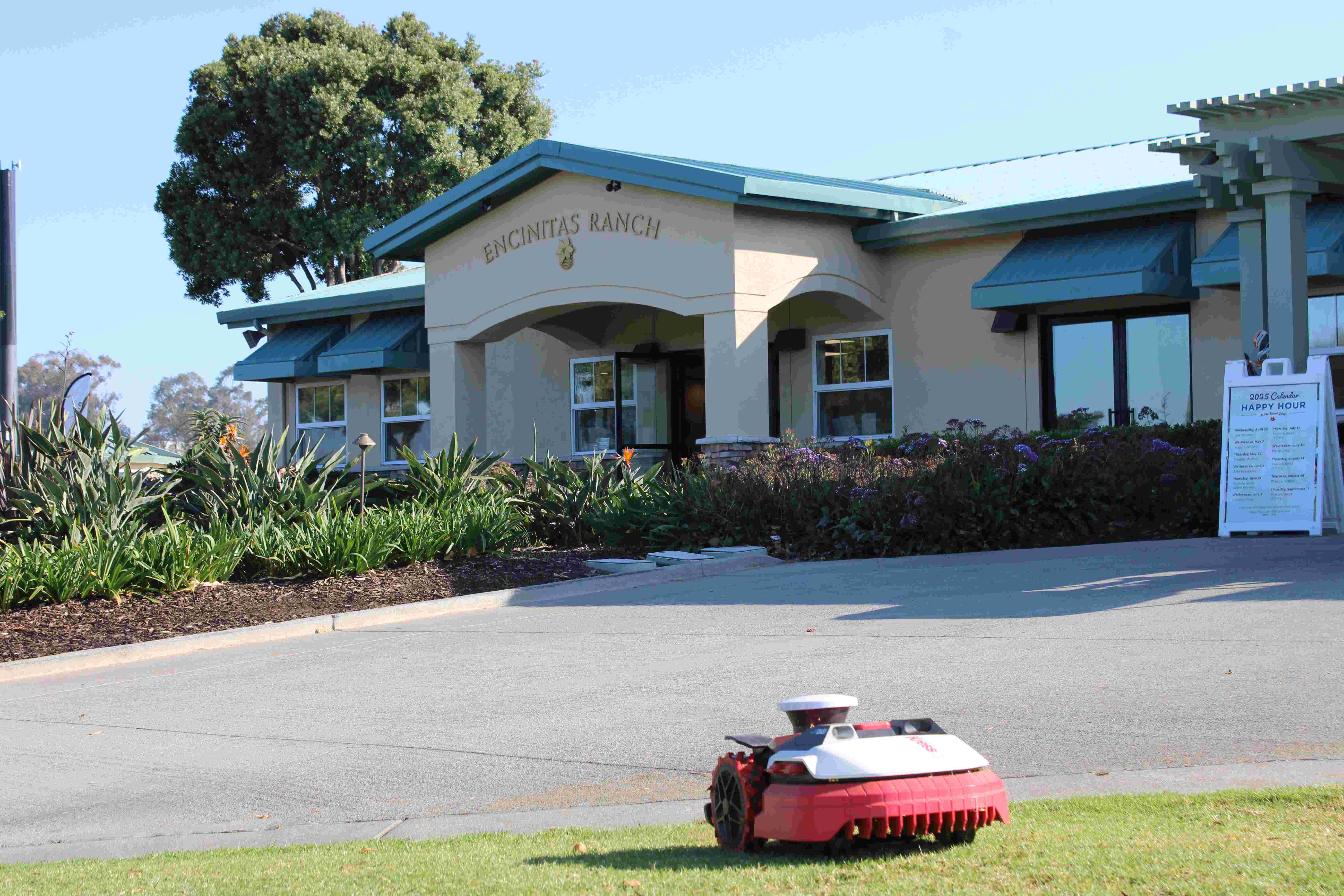 a robot on the lawn