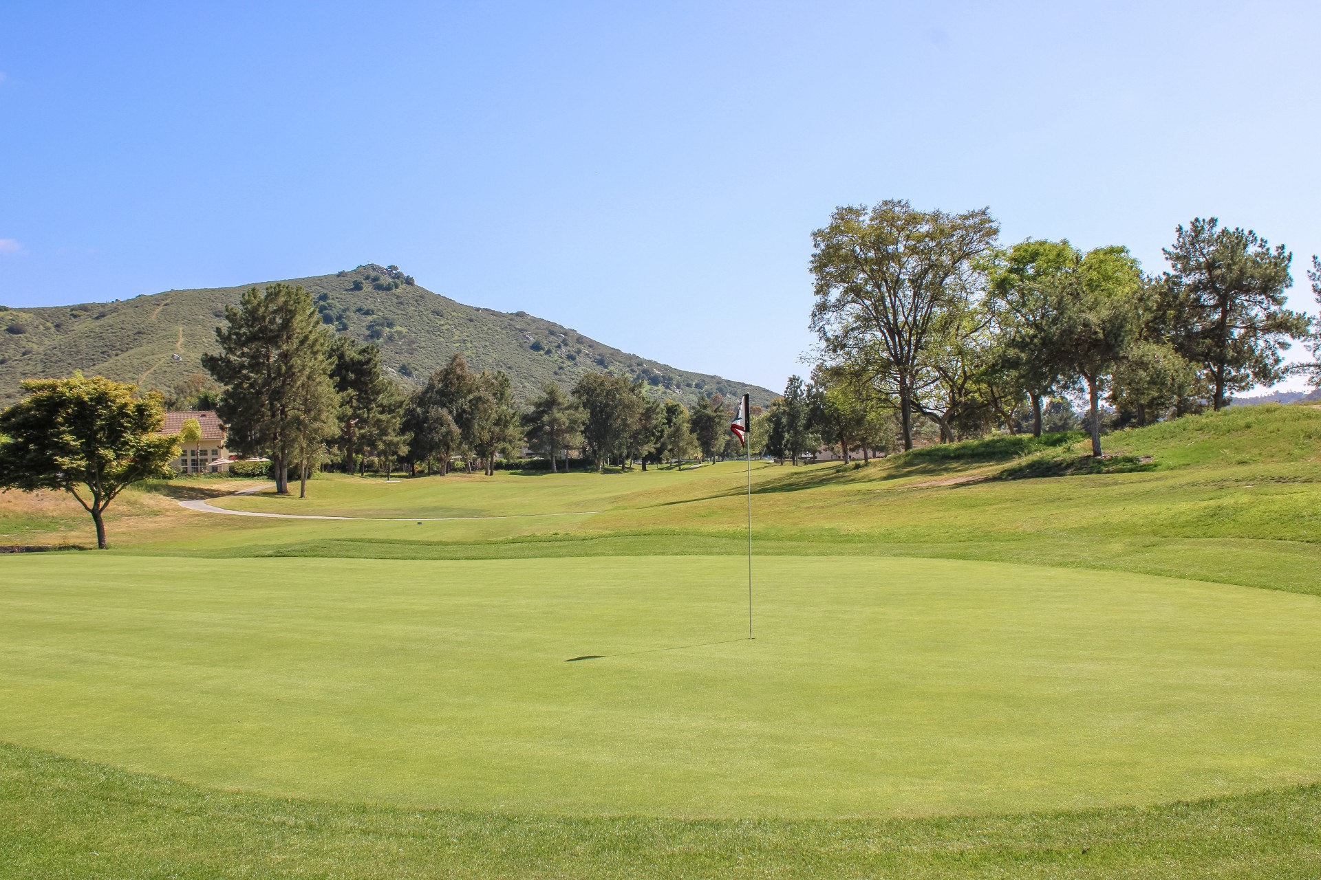 a golf course with a flag on the green
