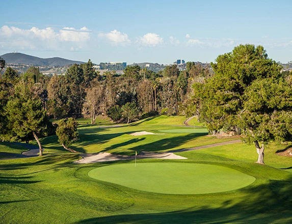 aerial view of the trees scattered throughout the course with mountains in the distance on the left