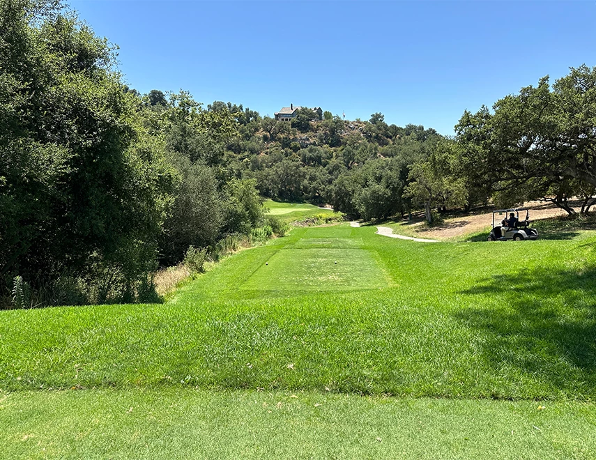 a golf course with trees and a hill in the background