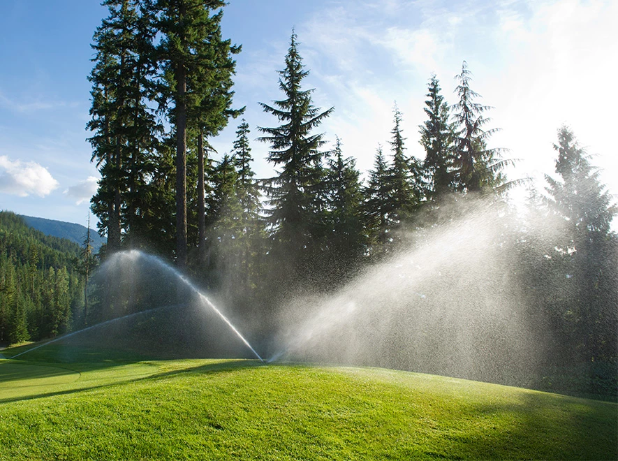 sprinklers spraying water on a grassy field