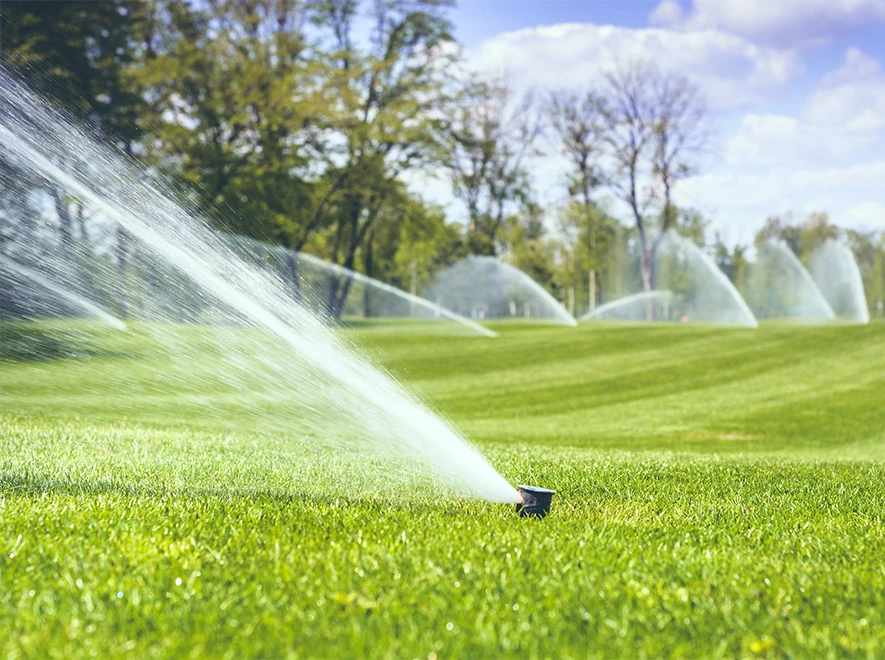 sprinklers spraying water on a lawn