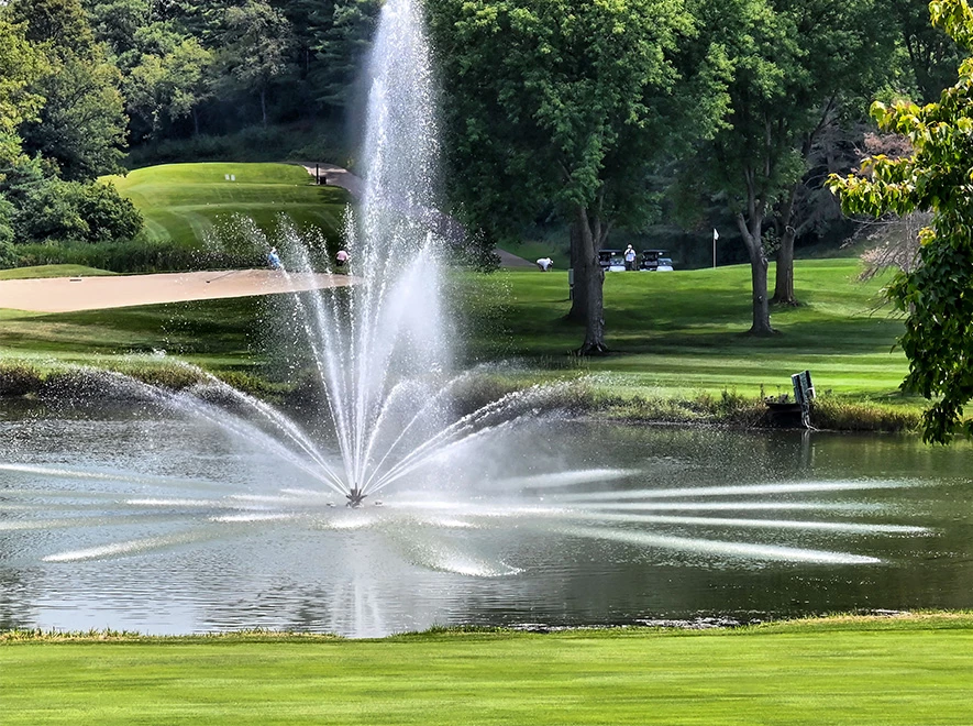 a water fountain in a pond