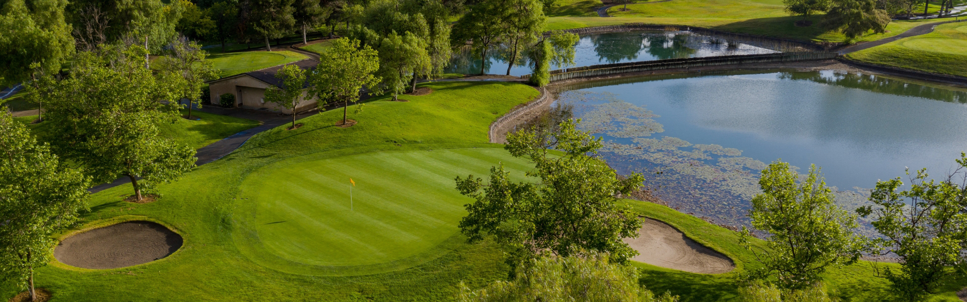 a golf course with a pond and trees
