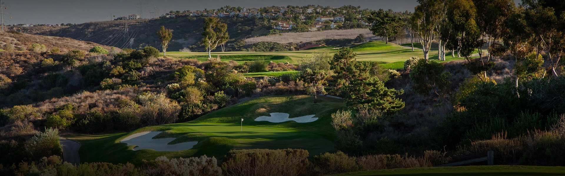 aerial view of a golf course surrounded by trees at JC Golf