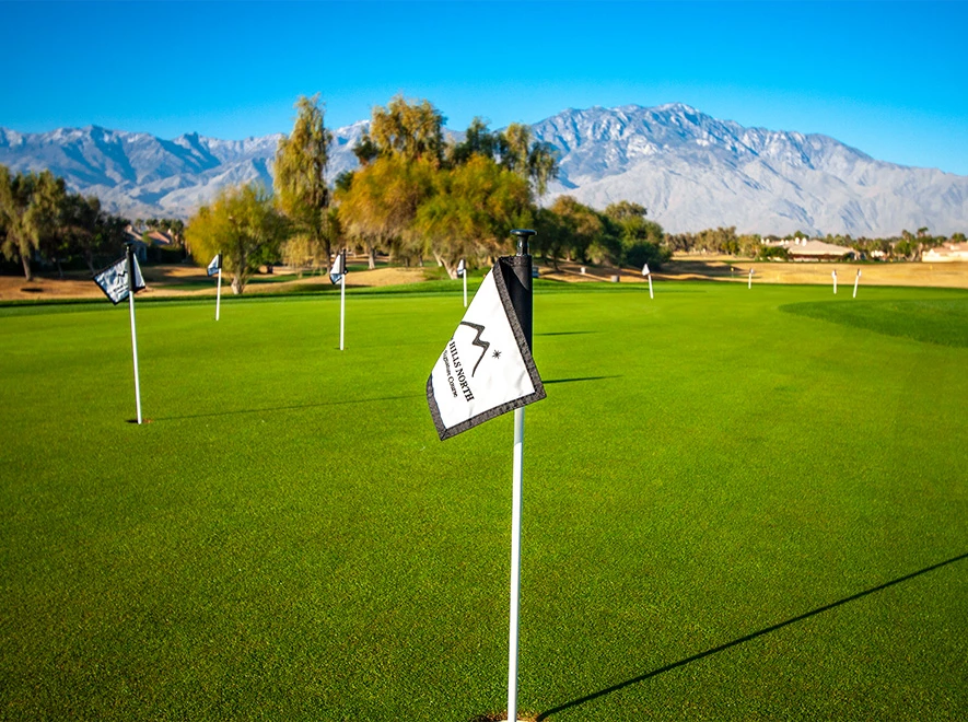 a flag on a golf course