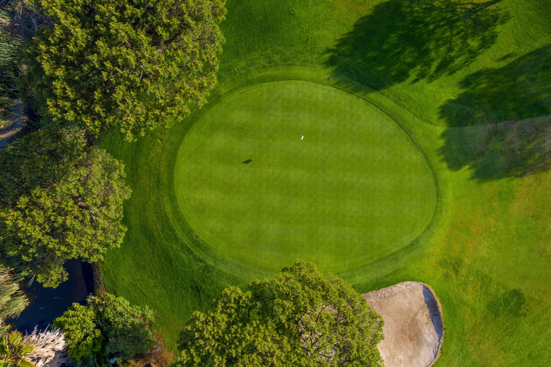 a golf course with trees and a hole in the middle