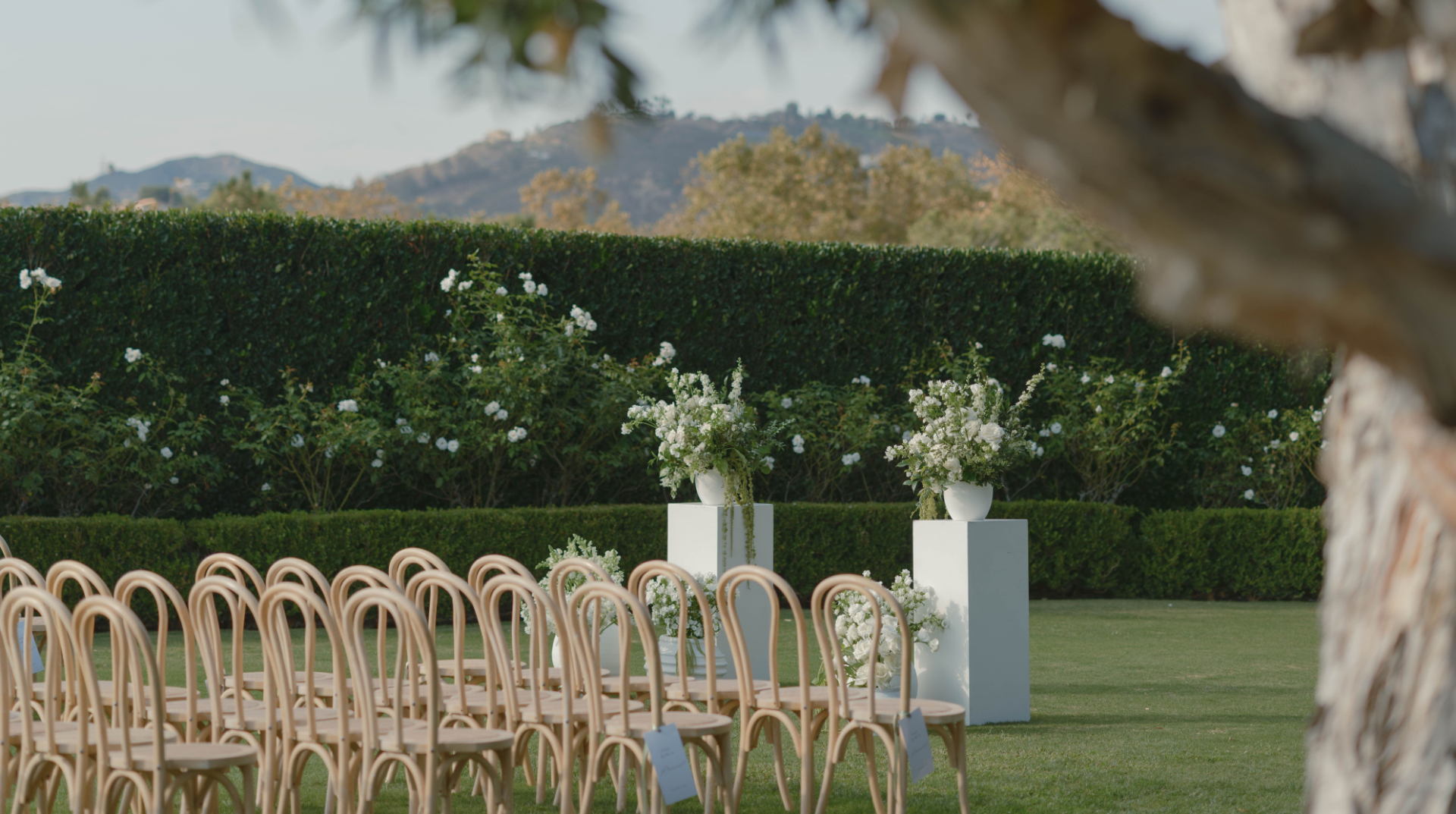 chairs and chairs in a lawn