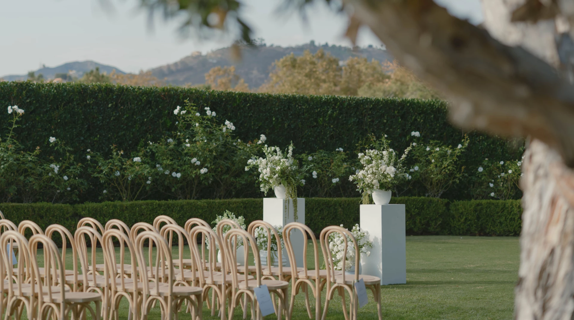 chairs and chairs in a lawn