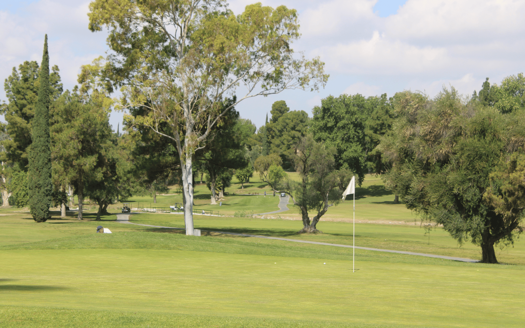 a golf course with trees and a flag