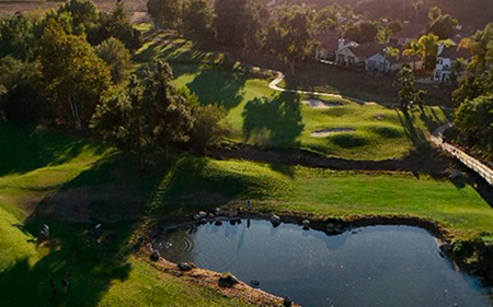 a pond in a golf course