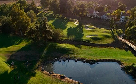 a pond in a golf course