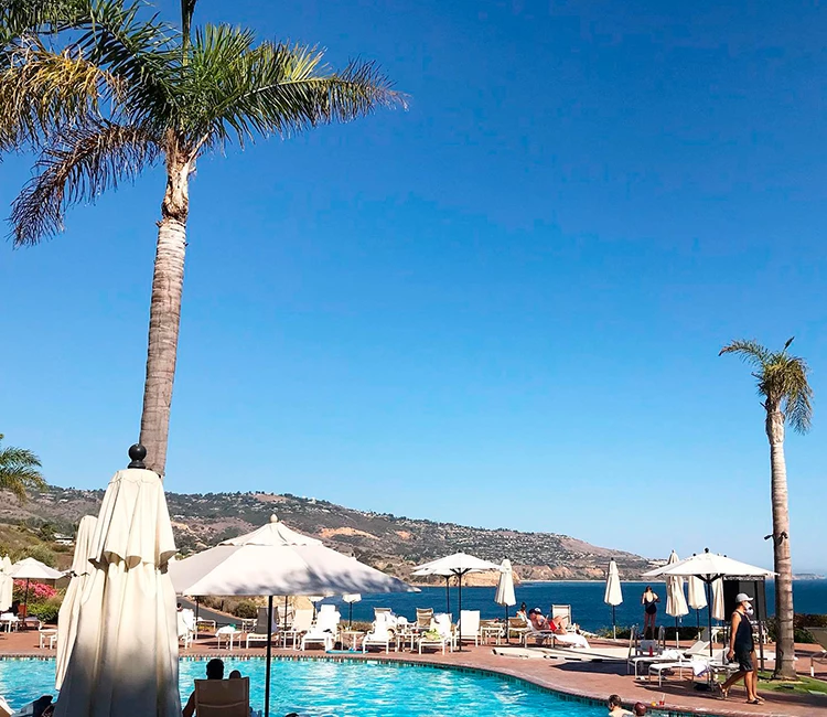a pool with umbrellas and palm trees