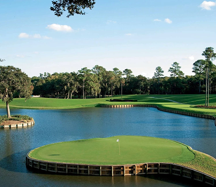 a golf course with a lake and a flag