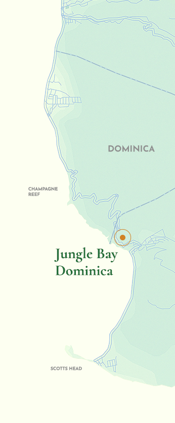 digital map of Dominica showing Jungle Bay's location