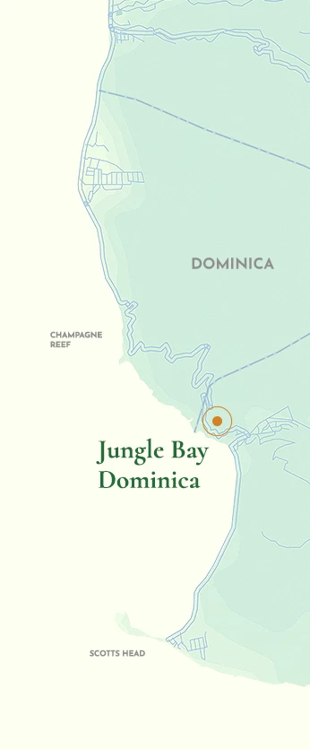 digital map of Dominica showing Jungle Bay's location