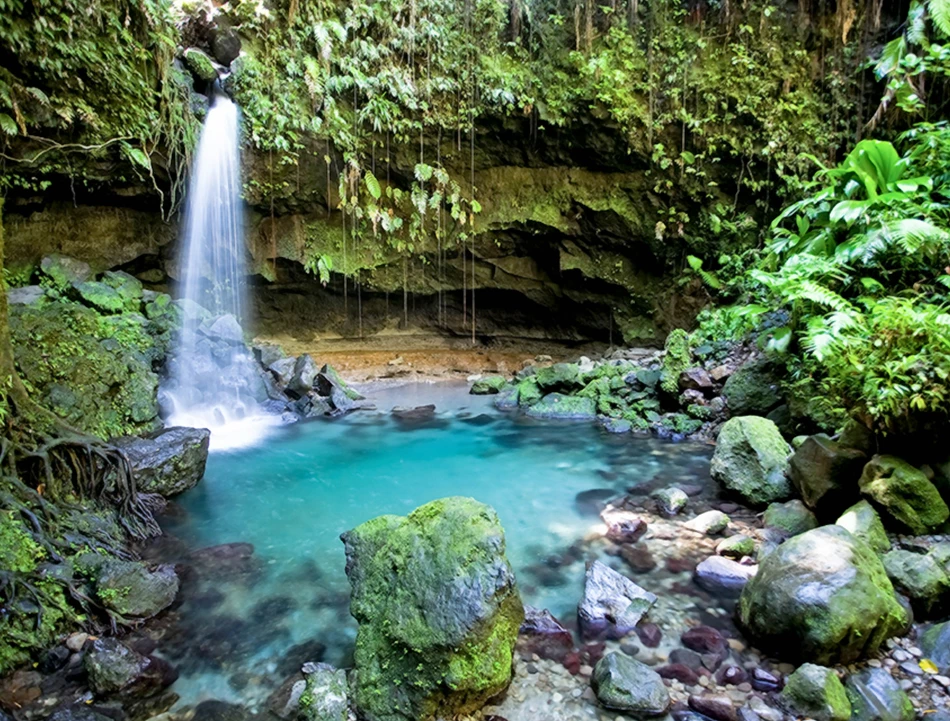 waterfall goin into a pool of water