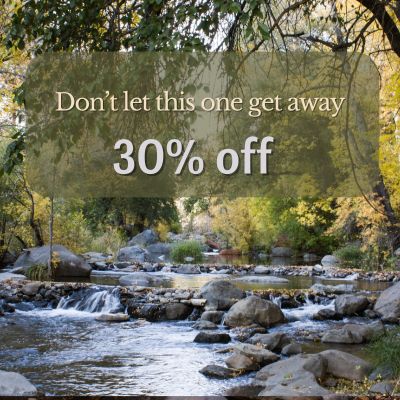 a river with rocks and trees