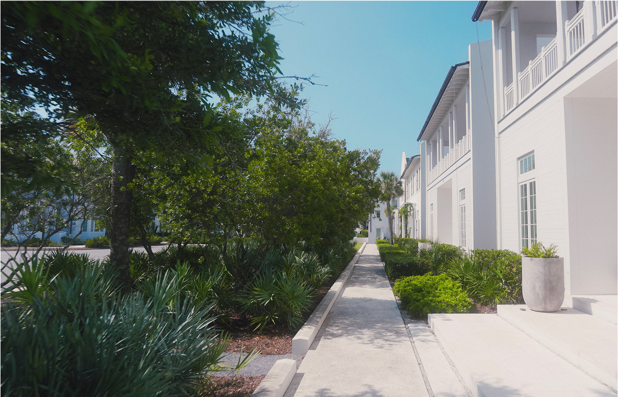 a walkway with trees and bushes in front of a building