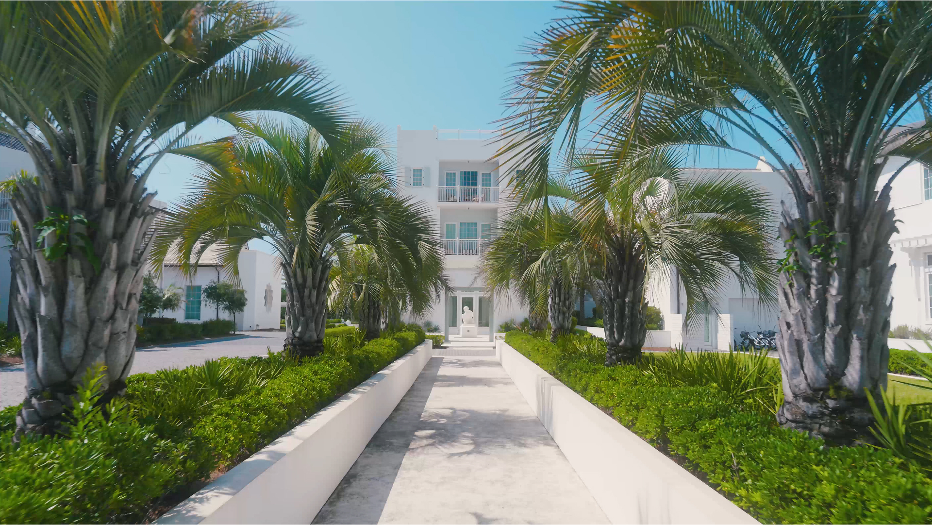 a white building with palm trees