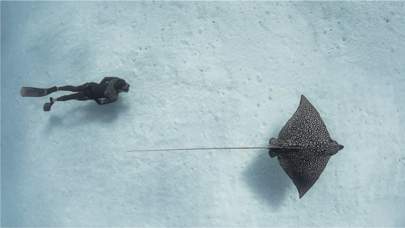 a person flying a kite