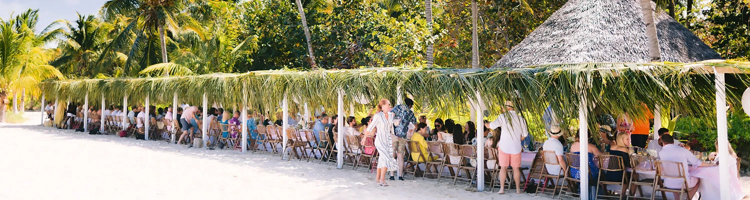 a group of people sitting in chairs under palm trees
