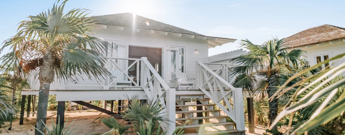 a house with palm trees