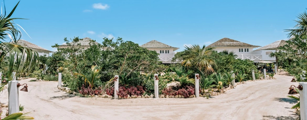 a sandy beach with palm trees and houses in the background