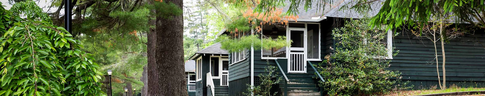 View of a big green house surrounded by trees