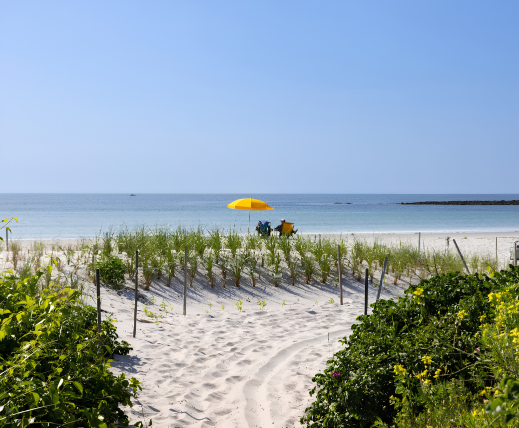 a beach with plants and a yellow umbrella