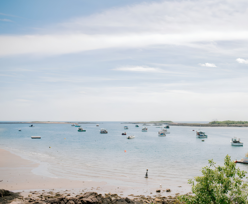 a group of boats in the water