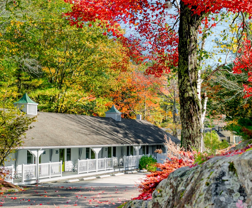 a building with a large tree and red leaves