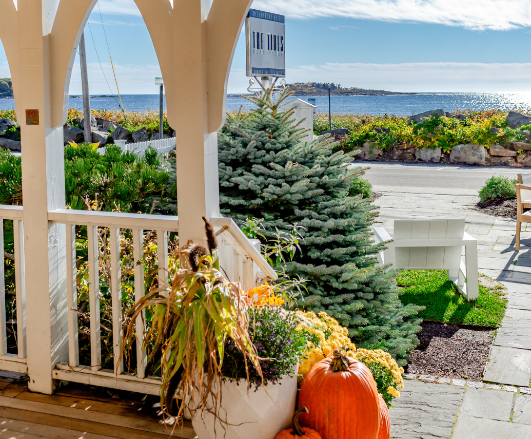 a porch with a white arbor and pumpkins and plants