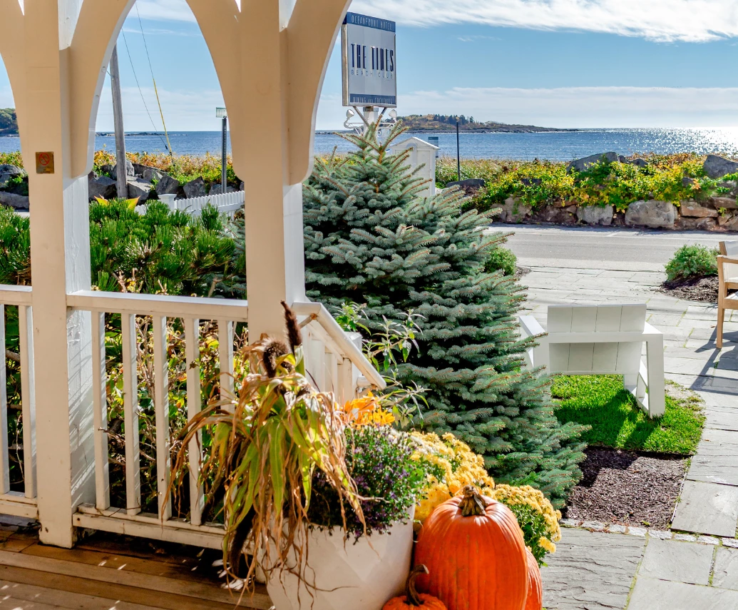 a porch with a white arbor and pumpkins and plants