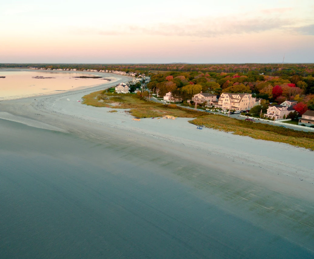 a beach with houses and trees