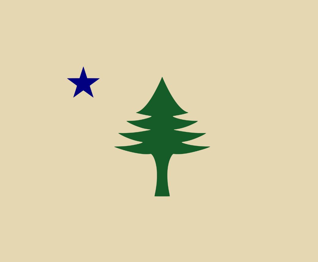 a green tree and blue star