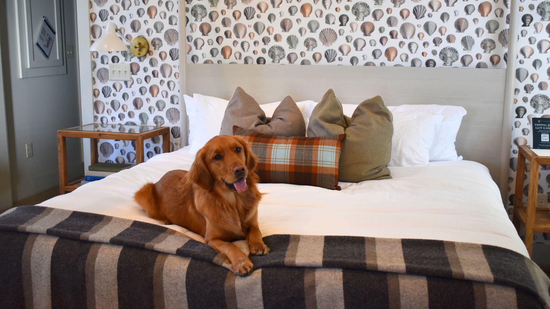 a dog lying on a bed