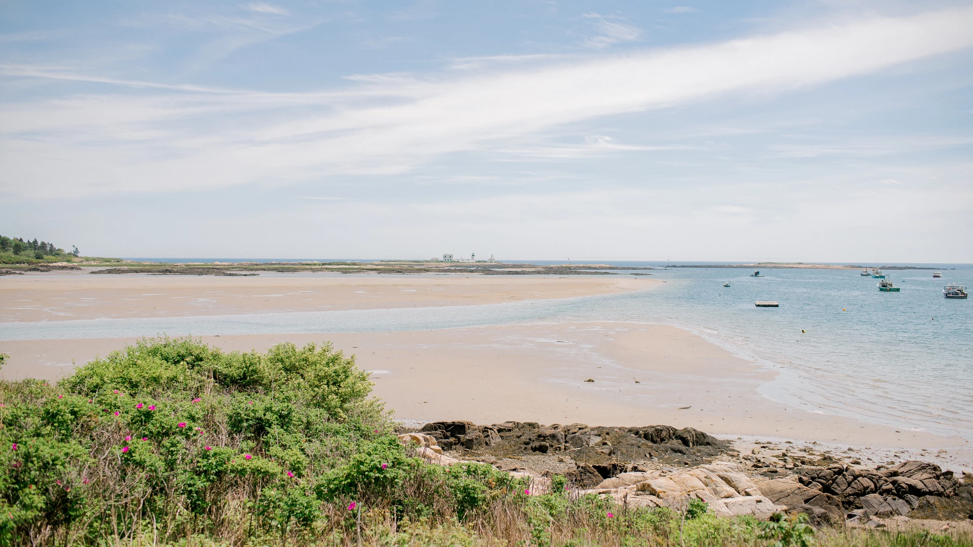 a beach with boats and water