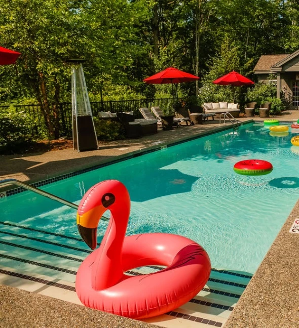 SPF: Sip, Pool, Float offer - Hidden Pond Resort Offer - Hotel in New England - Deal in Kennebunkport, Maine