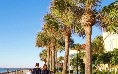 kids  holding hands and walking besides the beach with  palm trees  