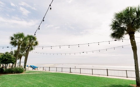 view of ocean from patch of grass with twinkly lights overhead